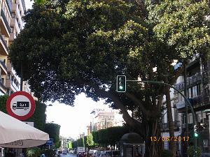 5 almeria 2 (5)
